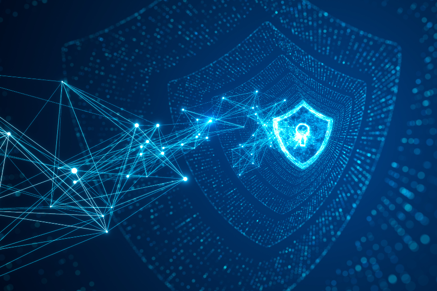 anpd-papel-fiscalizacao-lgpd